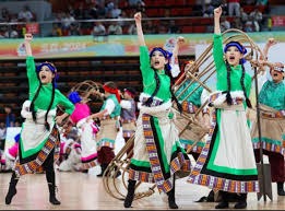 日本野花社区：探索文化与游戏的神秘交融